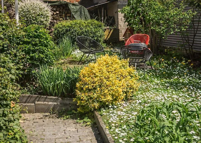 Gemuetliches 2 Mit Garten, Grillmoeglichkeit Und Stauraumflaeche Daire